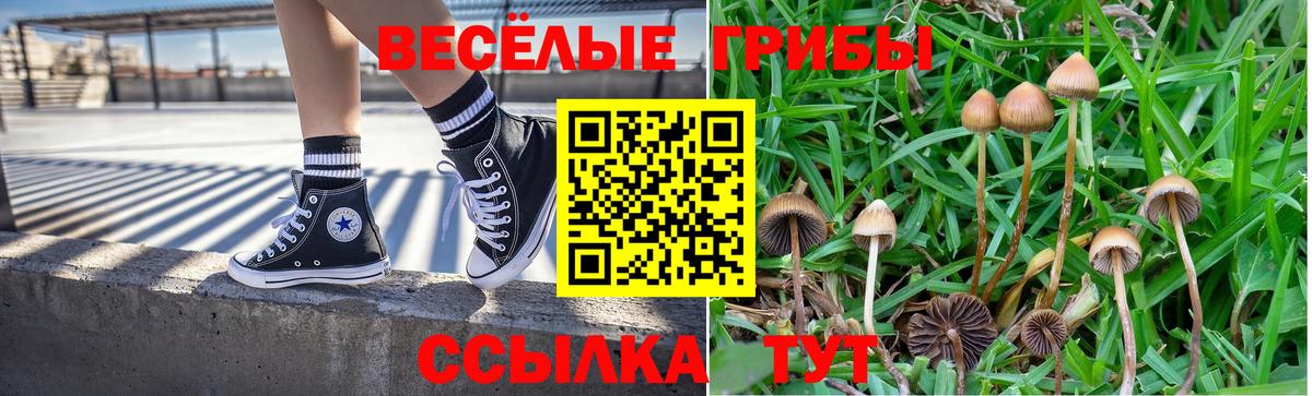 Галлюциногенные грибы Magic Shrooms  Вход с VPN  купить   Сафоново 